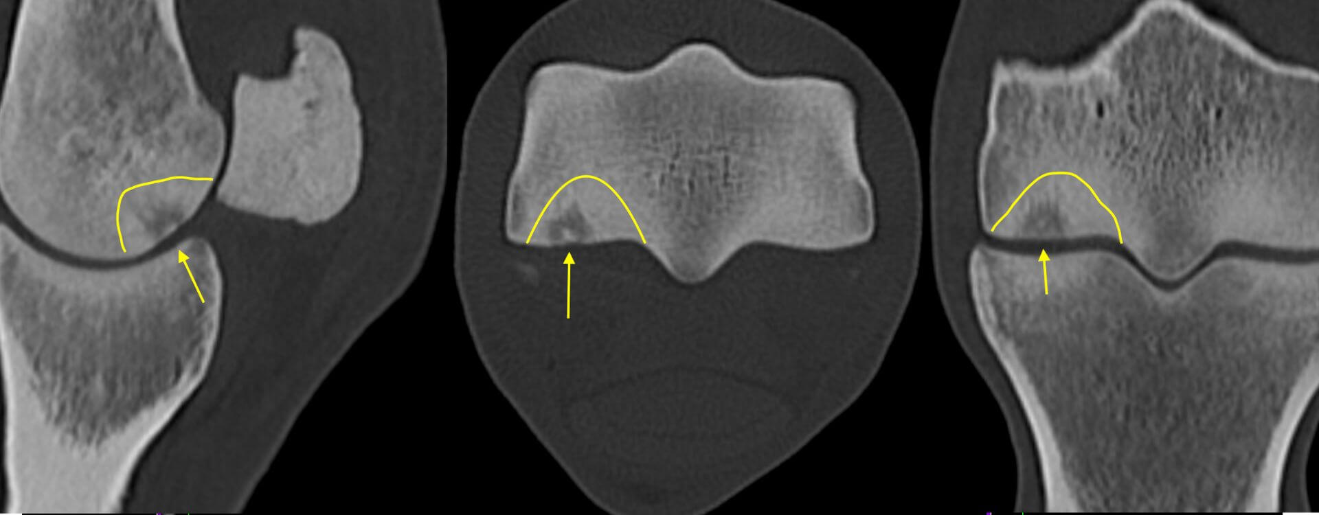 ct-oeh-2