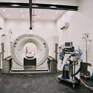 Pet Diagnostics Imaging in Ocala