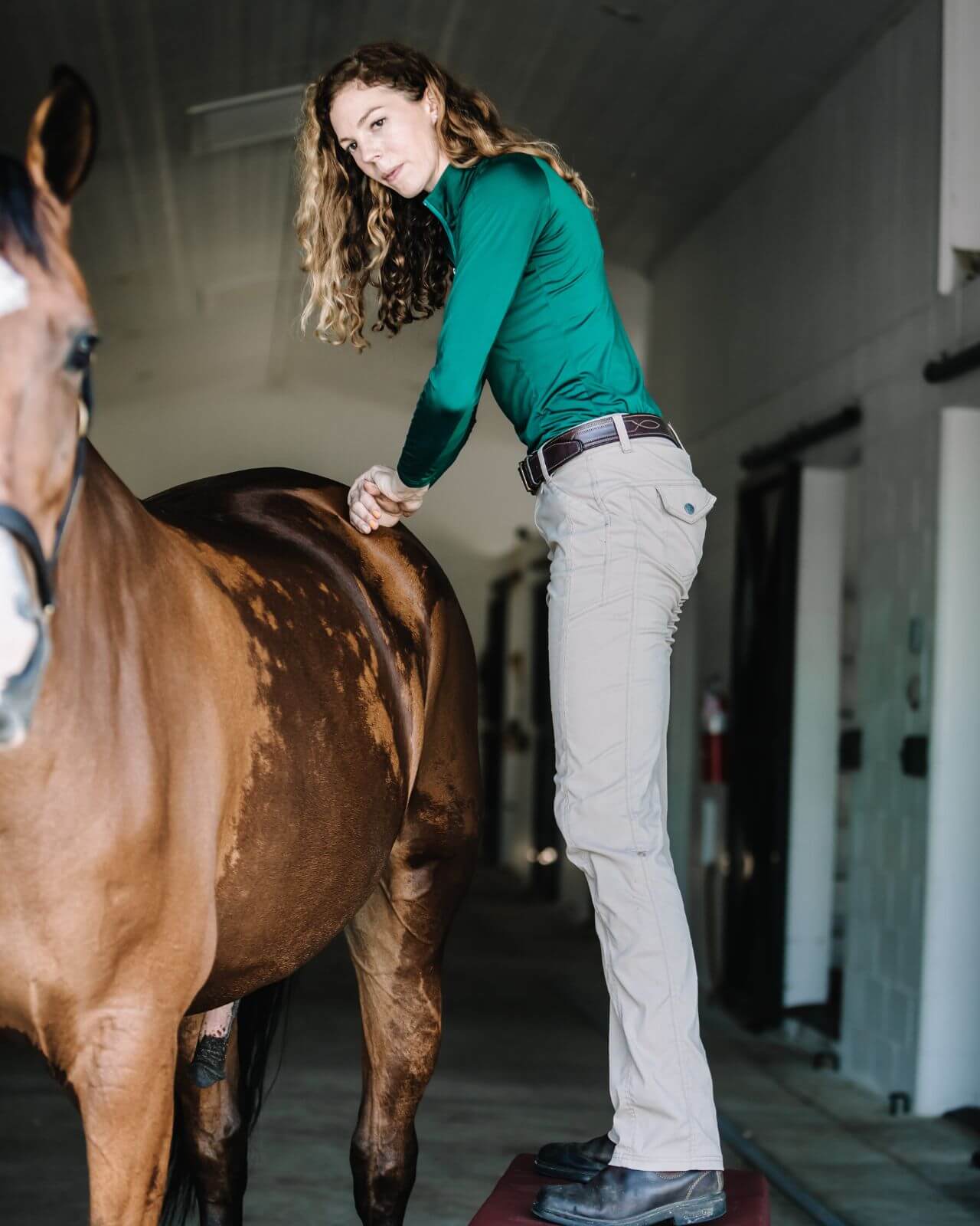 Spinal Manipulation at Ocala Equine